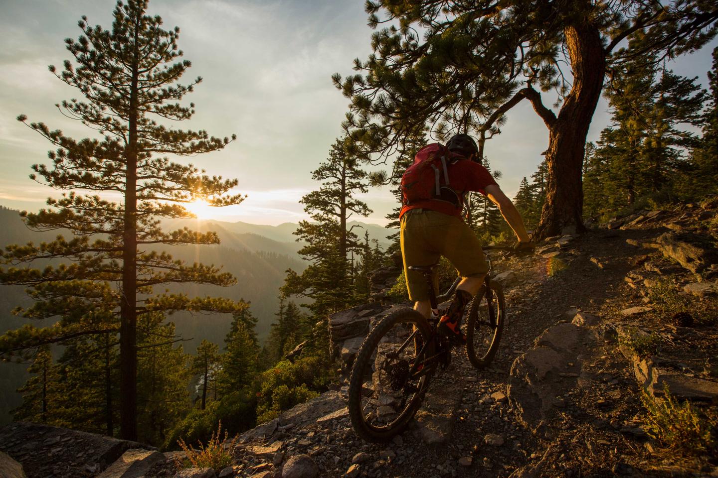 Mountain Biking