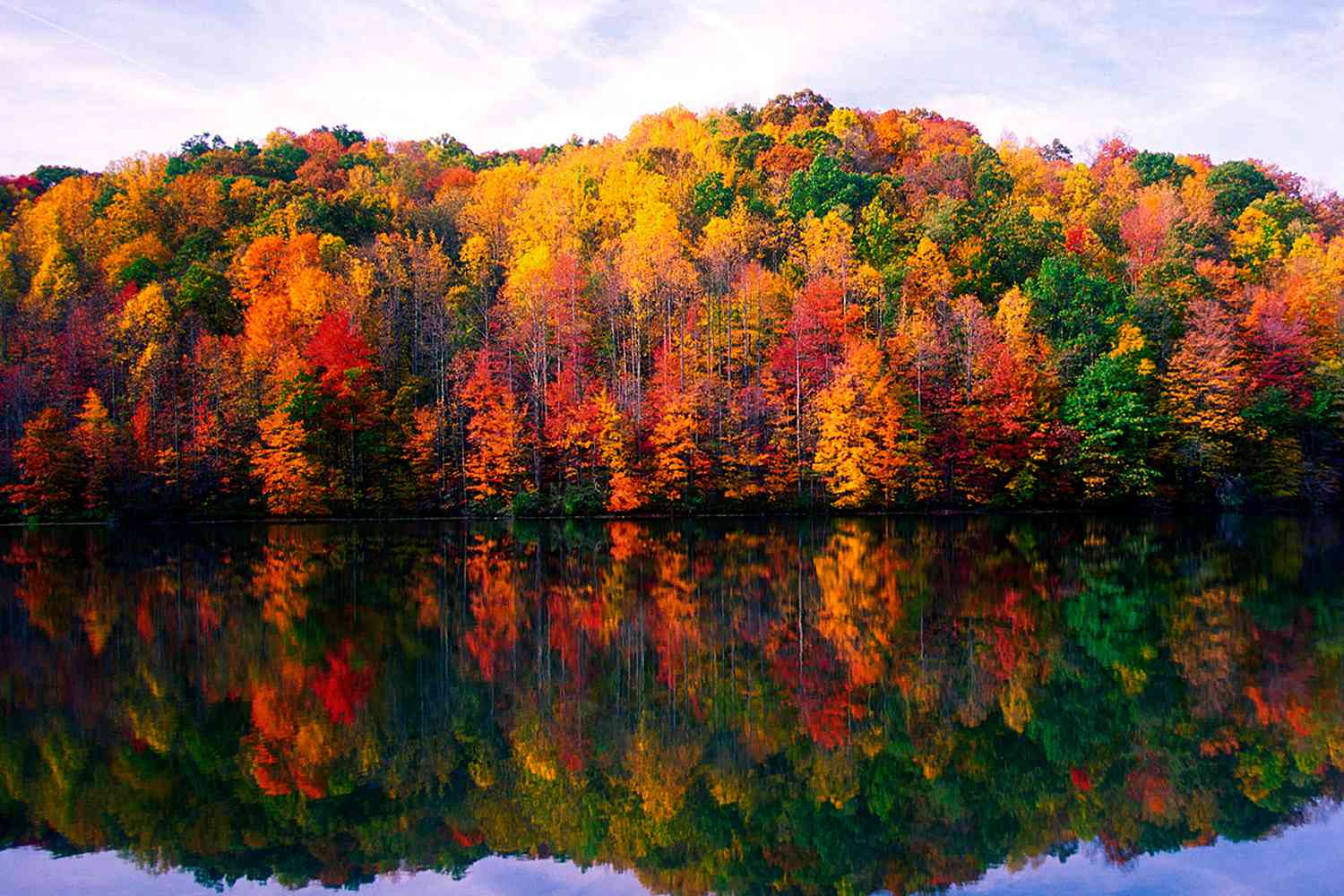 What's Happening in Davis & Canaan Valley