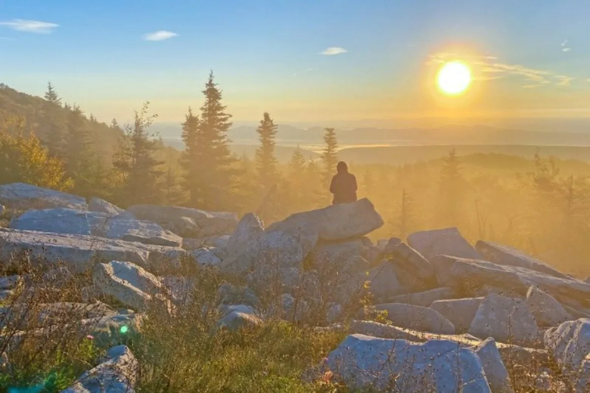 Dolly Sods Wilderness