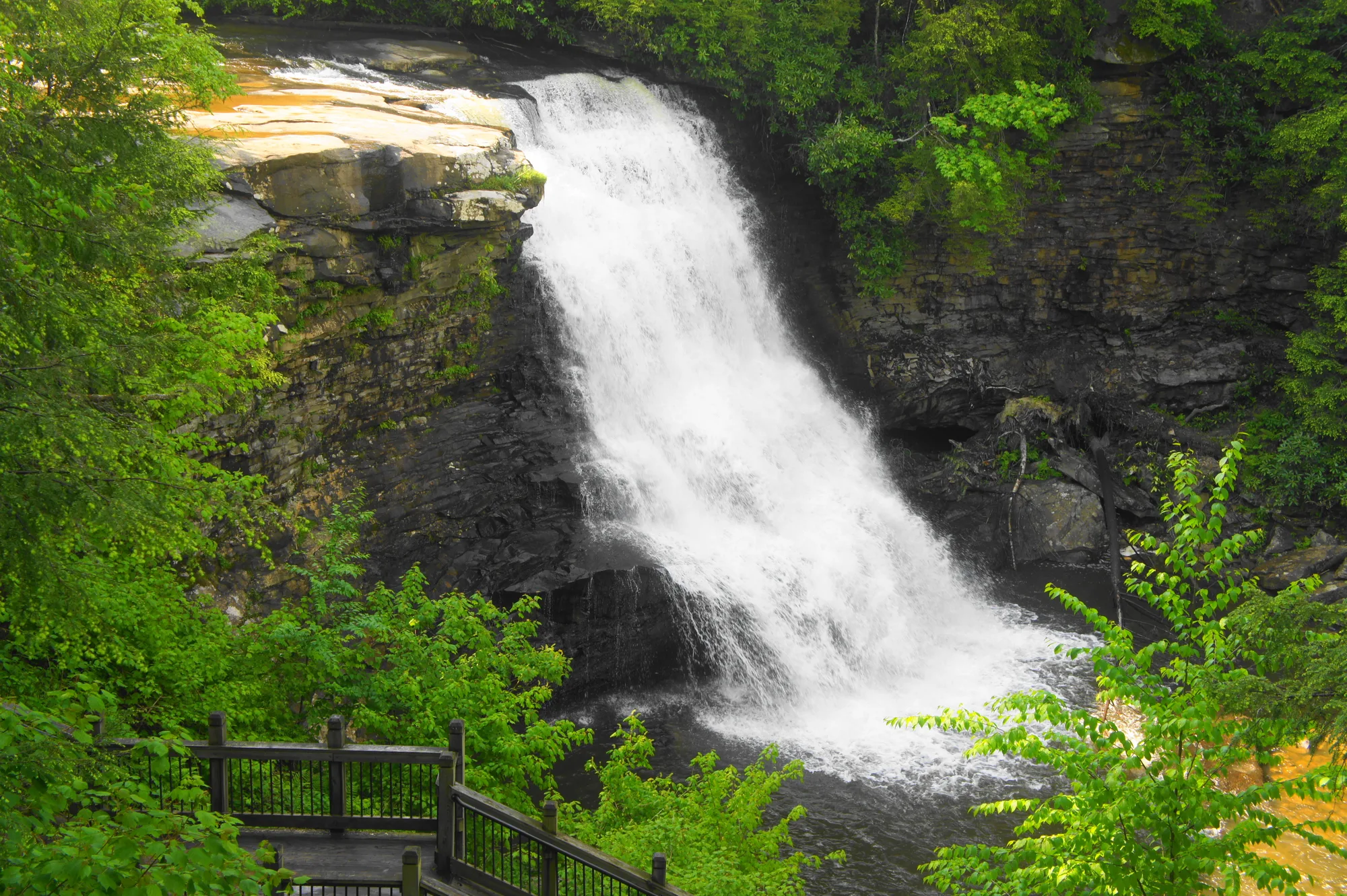 Swallow Falls State Park